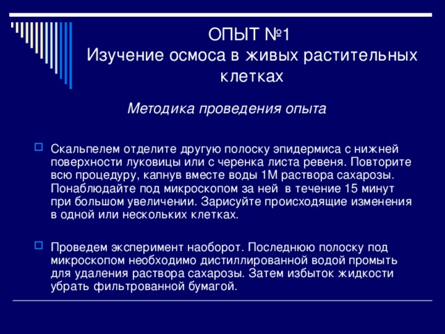 ОПЫТ №1  Изучение осмоса в живых растительных клетках Методика проведения опыта  Скальпелем отделите другую полоску эпидермиса с нижней поверхности луковицы или с черенка листа ревеня. Повторите всю процедуру, капнув вместе воды 1М раствора сахарозы. Понаблюдайте под микроскопом за ней в течение 15 минут при большом увеличении. Зарисуйте происходящие изменения в одной или нескольких клетках. Проведем эксперимент наоборот. Последнюю полоску под микроскопом необходимо дистиллированной водой промыть для удаления раствора сахарозы. Затем избыток жидкости убрать фильтрованной бумагой. 