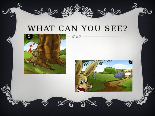 What can you see? 