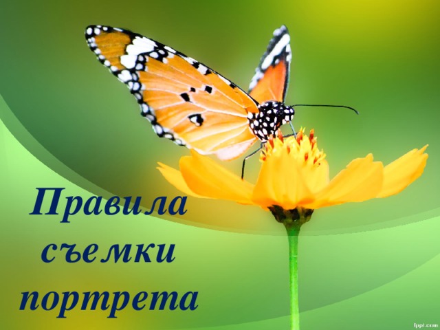 Правила съемки портрета 