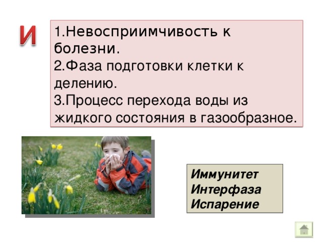 1. Невосприимчивость к болезни. 2.Фаза подготовки клетки к делению. 3.Процесс перехода воды из жидкого состояния в газообразное. Иммунитет Интерфаза Испарение 