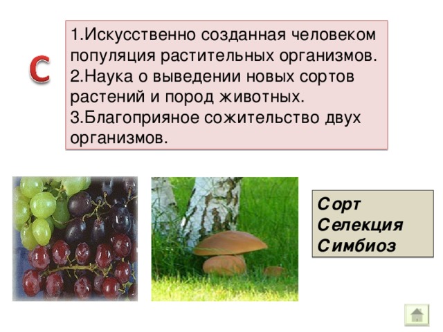 1.Искусственно созданная человеком популяция растительных организмов. 2.Наука о выведении новых сортов растений и пород животных. 3.Благоприяное сожительство двух организмов. Сорт Селекция Симбиоз 