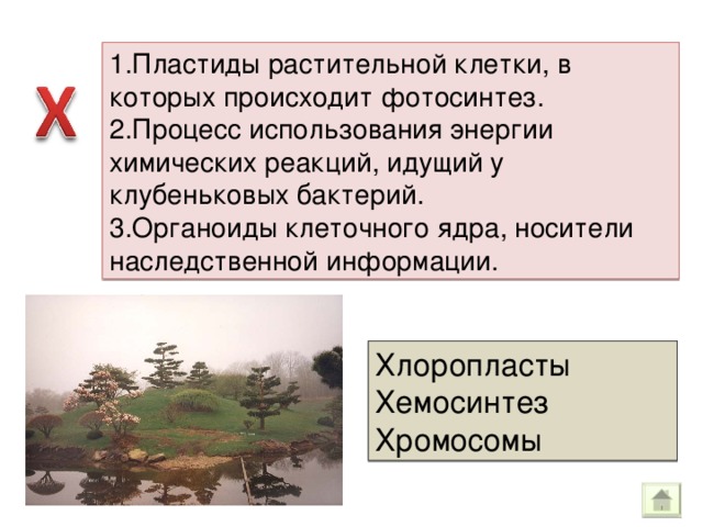 1.Пластиды растительной клетки, в которых происходит фотосинтез. 2.Процесс использования энергии химических реакций, идущий у клубеньковых бактерий. 3.Органоиды клеточного ядра, носители наследственной информации. Хлоропласты Хемосинтез Хромосомы 