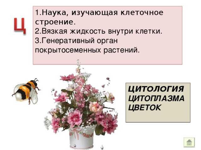 1. Наука, изучающая клеточное строение. 2.Вязкая жидкость внутри клетки. 3.Генеративный орган покрытосеменных растений. ЦИТОЛОГИЯ ЦИТОПЛАЗМА ЦВЕТОК  
