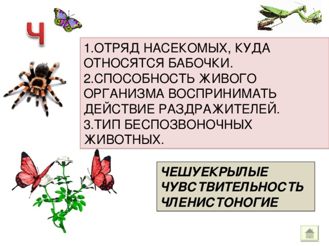 1.ОТРЯД НАСЕКОМЫХ, КУДА ОТНОСЯТСЯ БАБОЧКИ. 2.СПОСОБНОСТЬ ЖИВОГО ОРГАНИЗМА ВОСПРИНИМАТЬ ДЕЙСТВИЕ РАЗДРАЖИТЕЛЕЙ. 3.ТИП БЕСПОЗВОНОЧНЫХ ЖИВОТНЫХ. ЧЕШУЕКРЫЛЫЕ ЧУВСТВИТЕЛЬНОСТЬ ЧЛЕНИСТОНОГИЕ 