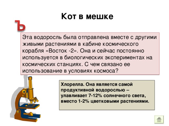 Кот в мешке Эта водоросль была отправлена вместе с другими живыми растениями в кабине космического корабля «Восток -2». Она и сейчас постоянно используется в биологических экспериментах на космических станциях. С чем связано ее использование в условиях космоса? Хлорелла. Она является самой продуктивной водорослью – улавливает 7-12% солнечного света, вместо 1-2% цветковыми растениями.  