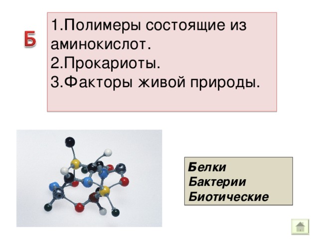 1. П олимеры состоящие из аминокислот . 2.Прокариоты. 3.Факторы живой природы. Б елки Бактерии Биотические 