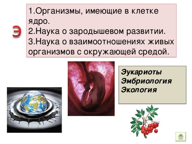 1.Организмы, имеющие в клетке ядро. 2.Наука о зародышевом развитии. 3.Наука о взаимоотношениях живых организмов с окружающей средой. Эукариоты Эмбриология Экология  