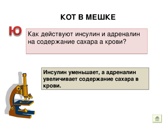 КОТ В МЕШКЕ Как действуют инсулин и адреналин на содержание сахара а крови? Инсулин уменьшает, а адреналин увеличивает содержание сахара в крови. 