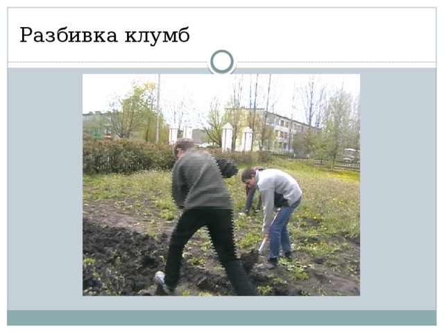 Разбивка клумб 