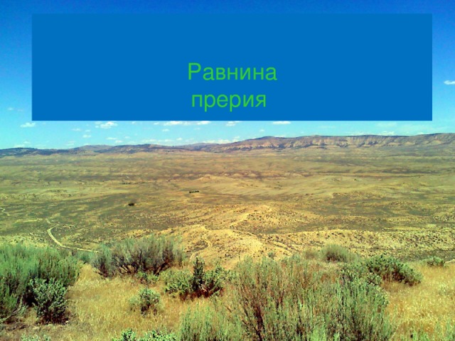  Равнина  прерия 
