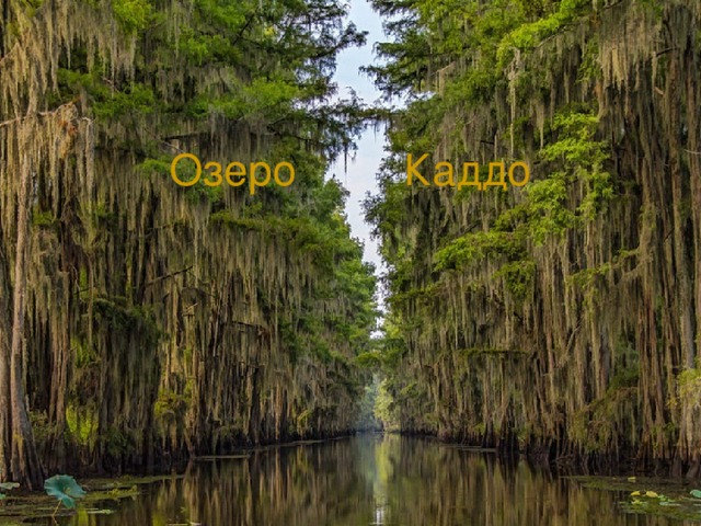     Озеро Каддо 