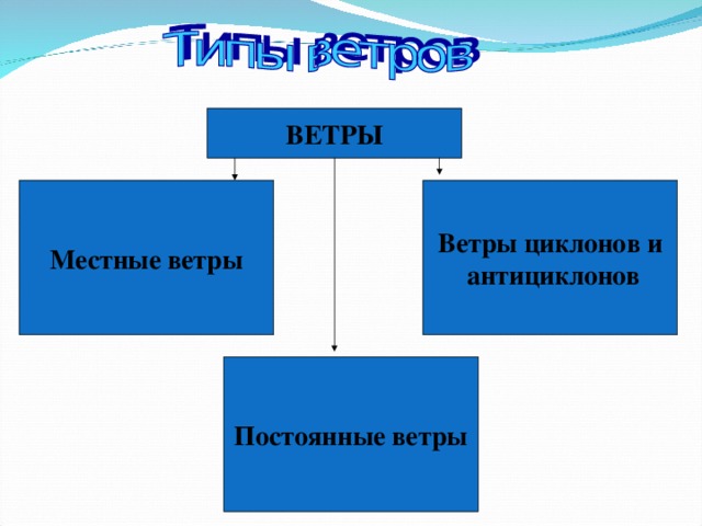 ВЕТРЫ Местные ветры Ветры циклонов и  антициклонов Постоянные ветры 