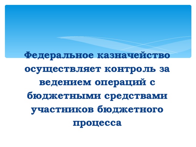   Федеральное казначейство осуществляет контроль за ведением операций с бюджетными средствами участников бюджетного процесса 