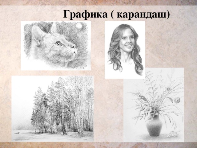 Графика ( карандаш) 