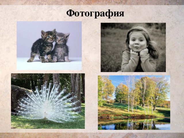Фотография 