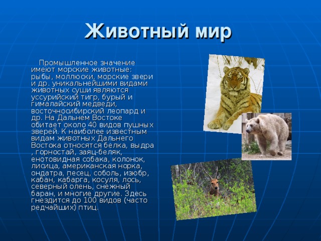 Животный мир   Промышленное значение имеют морские животные: рыбы, моллюски, морские звери и др. уникальнейшими видами животных суши являются уссурийский тигр, бурый и гималайский медведи, восточносибирский леопард и др. На Дальнем Востоке обитает около 40 видов пушных зверей. К наиболее известным видам животных Дальнего Востока относятся белка, выдра , горностай, заяц-беляк, енотовидная собака, колонок, лисица, американская норка, ондатра, песец, соболь, изюбр, кабан, кабарга, косуля, лось, северный олень, снежный баран, и многие другие. Здесь гнездится до 100 видов (часто редчайших) птиц. 