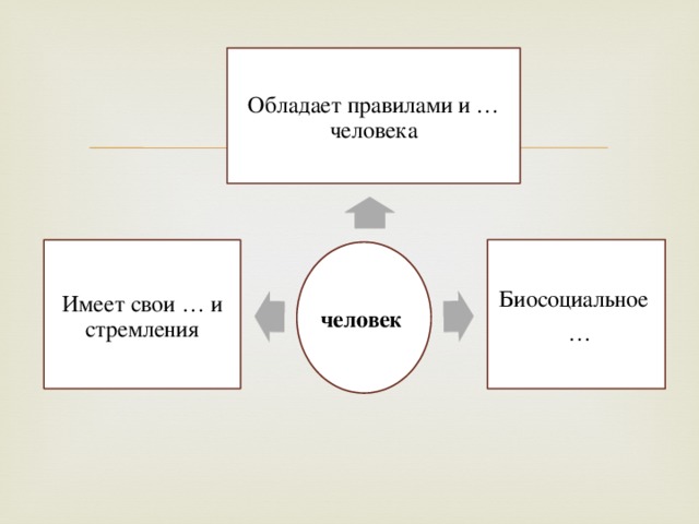 Обладает правилами и … человека Биосоциальное … Имеет свои … и стремления человек 