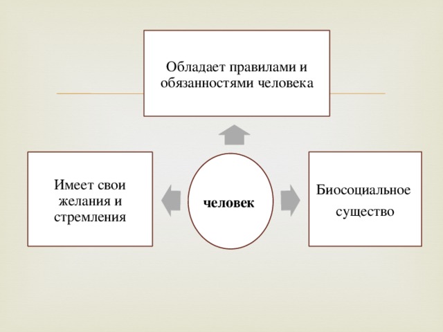 Обладает правилами и обязанностями человека Биосоциальное существо Имеет свои желания и стремления человек 