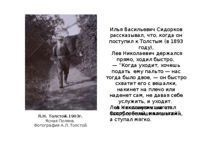 Илья Васильевич Сидорков рассказывал, что, когда он поступил к Толстым (в 1893 году),  Лев Николаевич держался прямо, ходил быстро. — “ Когда уходит, хочешь подать ему пальто — нас тогда было двое, — он быстро схватит его с вешалки, накинет на плечо или наденет сам, не давая себе услужить, и уходит.  А к склону жизни стал сгорбленный, маленький”. Лев Николаевич шагал быстро, большими шагами, а ступал мягко.   Л.Н. Толстой.1903г.  Ясная Поляна.  Фотография А.Л. Толстой.