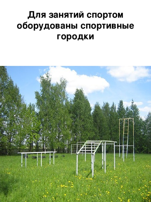 Для занятий спортом оборудованы спортивные городки 