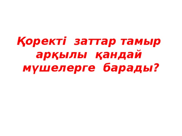   Қоректі заттар тамыр арқылы қандай мүшелерге барады? 