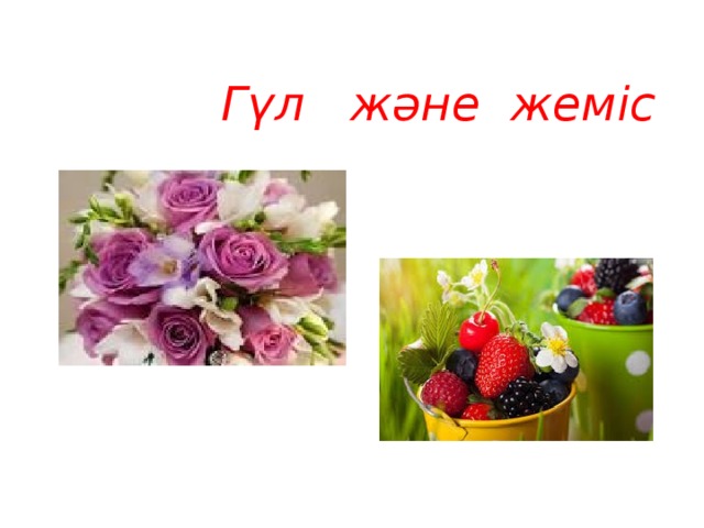  Гүл және жеміс  