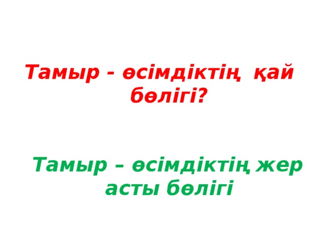 Тамыр - өсімдіктің қай бөлігі?    Тамыр – өсімдіктің жер асты бөлігі 