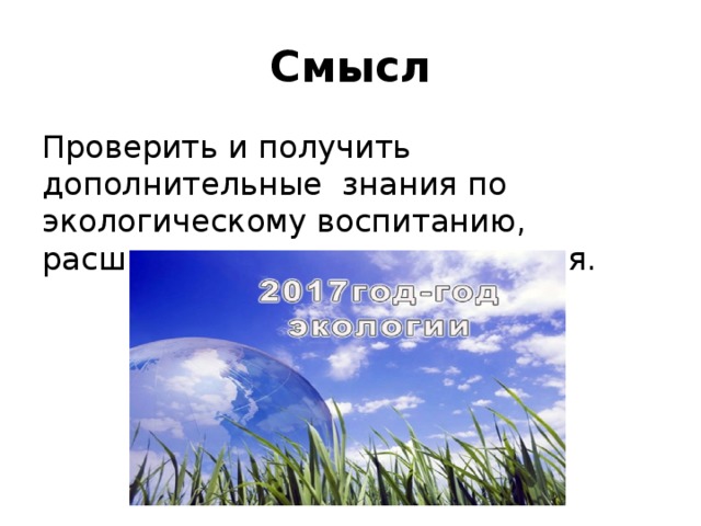 Смысл Проверить и получить дополнительные знания по экологическому воспитанию, расширить кругозор, развлечься. 