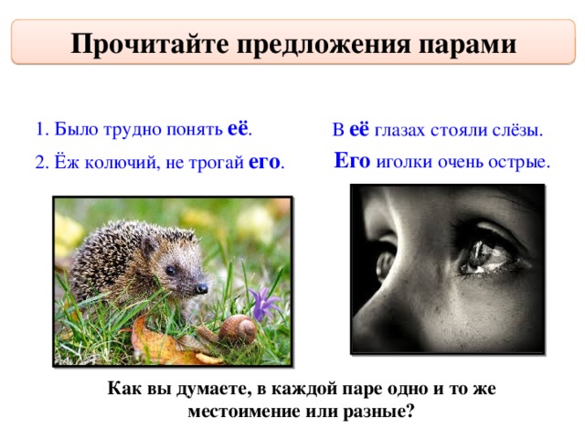 Прочитайте предложения парами 1. Было трудно понять её . В её глазах стояли слёзы. Его иголки очень острые. 2. Ёж колючий, не трогай его . Как вы думаете, в каждой паре одно и то же местоимение или разные? 