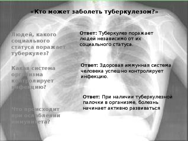  «Кто может заболеть туберкулезом?»   Ответ: Туберкулез поражает людей независимо от их социального статуса. Людей, какого социального статуса поражает туберкулез?  Какая система организма контролирует инфекцию?   Что происходит при ослаблении иммунитета? Ответ: Здоровая иммунная система человека успешно контролирует инфекцию. Ответ: При наличии туберкулезной палочки в организме, болезнь начинает активно развиваться  