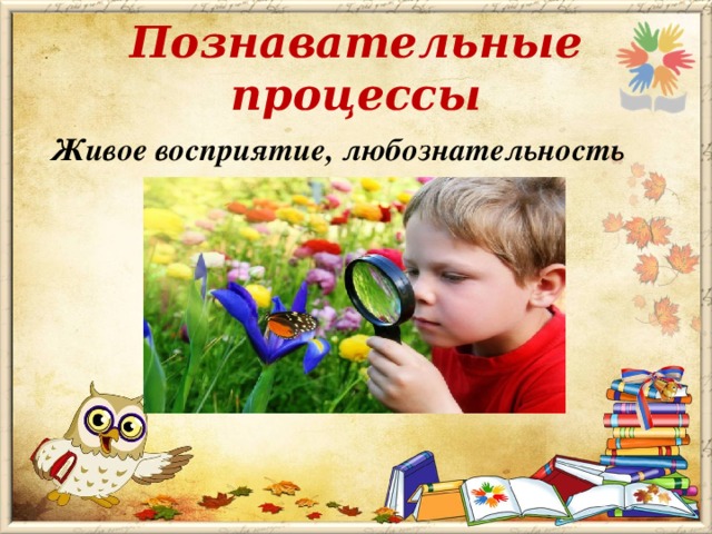 Познавательные процессы  Живое восприятие, любознательность  