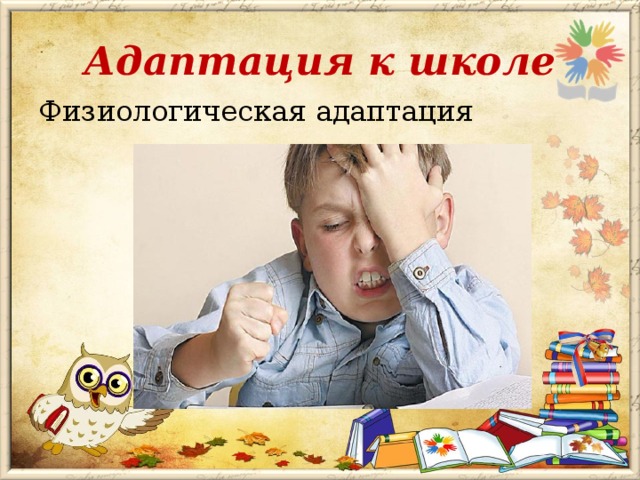 Адаптация к школе Физиологическая адаптация 