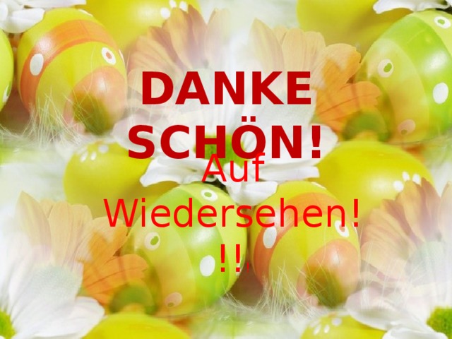DANKE SCHÖN! Auf Wiedersehen!!! ! 