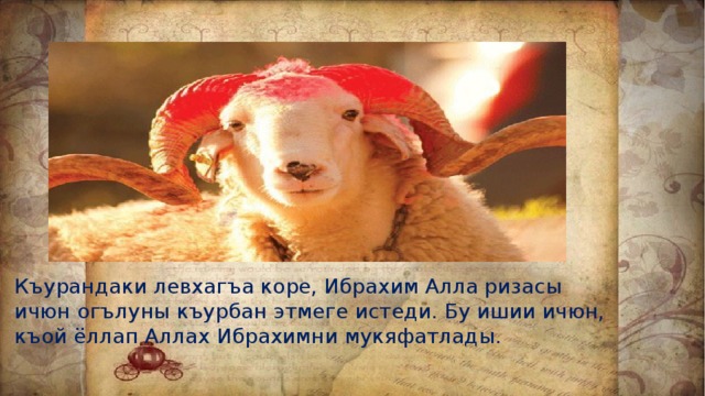 Къурандаки левхагъа коре, Ибрахим Алла ризасы ичюн огълуны къурбан этмеге истеди. Бу ишии ичюн, къой ёллап Аллах Ибрахимни мукяфатлады. 