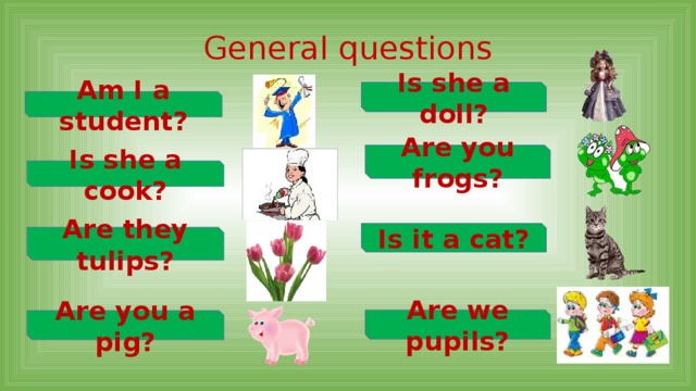 General questions Is she a doll? Am I a student? Are you frogs? Is she a cook? Is it a cat? Are they tulips? Are we pupils? Are you a pig? 