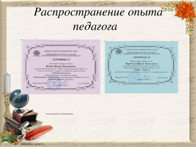 Распространение опыта  педагога        Участник районного семинара директоров   