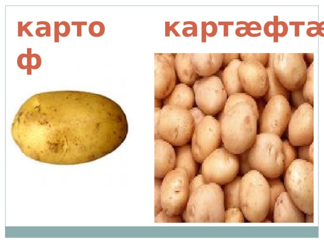 картоф карт æ фт æ 