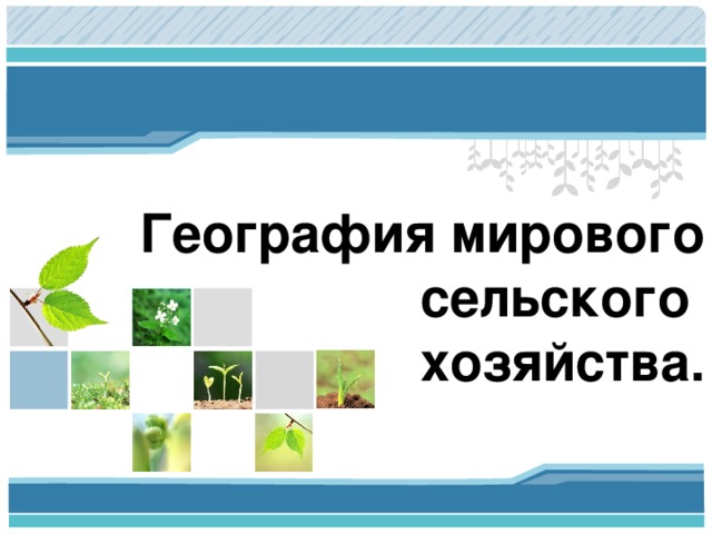   География мирового сельского  хозяйства. 