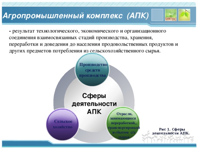 Агропромышленный комплекс (АПК)   - результат технологического, экономического и организационного соединения взаимосвязанных стадий производства, хранения, переработки и доведения до населения продовольственных продуктов и других предметов потребления из сельскохозяйственного сырья.    Производство средств производства Сферы деятельности АПК  Отрасли, занимающиеся переработкой,, транспортировкой и сбытом с/х сырья  Сельское хозяйство Рис 1. Сферы деятельности АПК.  