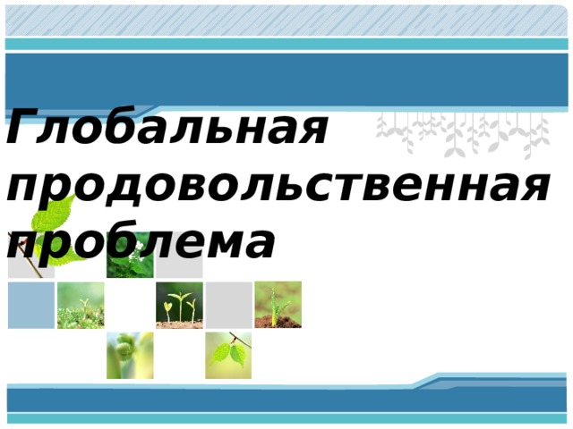 Глобальная продовольственная проблема 