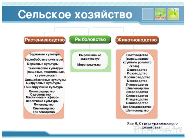 о Сельское хозяйство во Рыболовство Растениеводство Животноводство Зерновые культуры Скотоводство (выращивание крупного рогатого скота) Овцеводство Козоводство Кролиководство Коневодство Пчеловодство Шмелеводство Звероводство Оленеводство Птицеводство Свиноводство Верблюдоводство Шелководство Выращивание аквакультур Зернобобовые культуры Кормовые культуры Морепродукты Технические культуры (пищевые, текстильные, каучуконосы) Овощебахчевые культуры Цитрусовые культуры Тонизирующие культуры Виноградарство Садоводство Масличные и эфиро-масличные культуры Луговодство Хмелеводство Грибоводство Рис 6. Структура сельского хозяйства. 