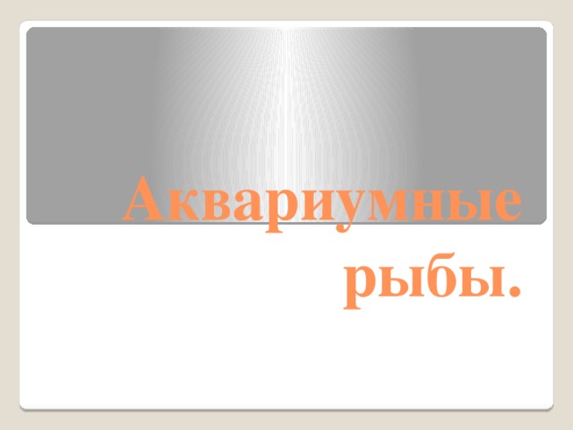 Аквариумные рыбы. 