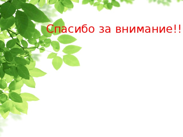 Спасибо за внимание!!! 