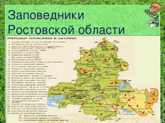 Заповедники  Ростовской области 