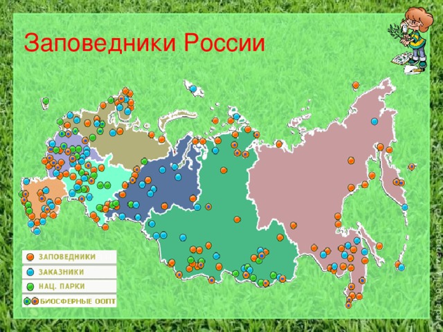 Заповедники России Заповедники России 