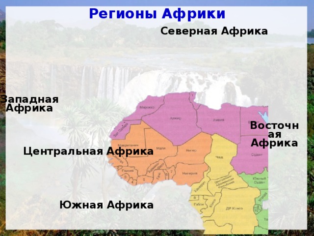 Регионы Африки Северная Африка Западная Африка Восточная Африка Центральная Африка Южная Африка 