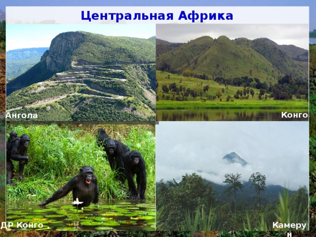 Центральная Африка Конго Ангола ДР Конго Камерун 