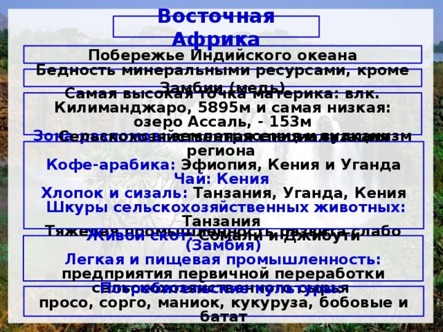 Восточная Африка Побережье Индийского океана Бедность минеральными ресурсами, кроме Замбии (медь) Самая высокая точка материка: влк. Килиманджаро, 5895м и самая низкая: озеро Ассаль, - 153м Зона разломов: землетрясения и вулканизм Сельскохозяйственная специализация региона Кофе-арабика: Эфиопия, Кения и Уганда Чай: Кения Хлопок и сизаль: Танзания, Уганда, Кения  Шкуры сельскохозяйственных животных: Танзания Живой скот: Сомали и Джи­бути  Тяжелая промышленность развита слабо (Замбия) Легкая и пищевая промышленность: предприятия первичной переработки сельскохозяйственного сырья  Потребительские культуры: просо, сорго, маниок, кукуруза, бобовые и батат 