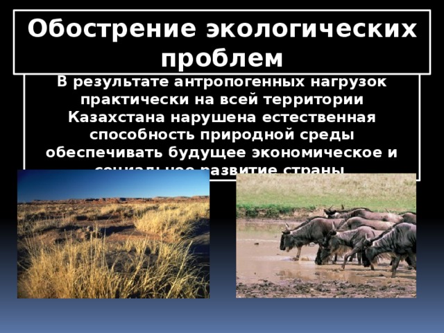 Обострение экологических проблем В результате антропогенных нагрузок практически на всей территории Казахстана нарушена естественная способность природной среды обеспечивать будущее экономическое и социальное развитие страны 
