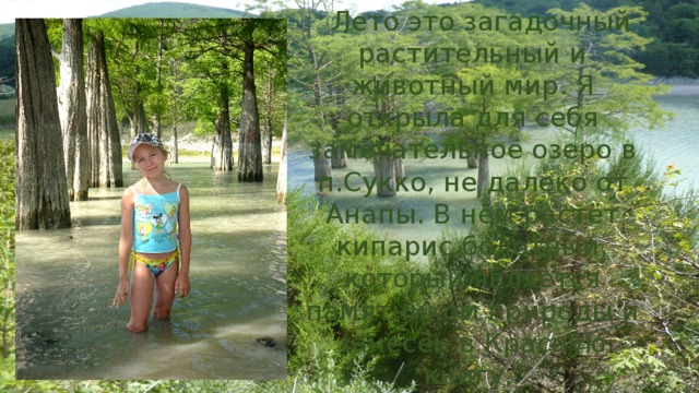  Лето это загадочный растительный и животный мир. Я открыла для себя замечательное озеро в п.Сукко, не далеко от Анапы. В нём растёт кипарис болотный, который является памятником природы и занесён в Красную книгу. 